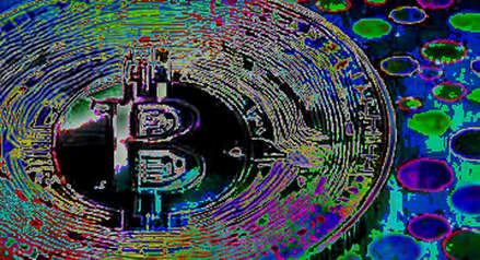 Fan Token Flash Crash: Belgium’s BELG Rallies 16% on US Exit – A Case Study in Event-Driven Speculation