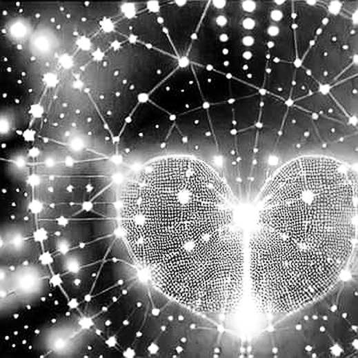 Hong Kong’s Tech Divergence: A Signal for Crypto’s Own Structural Split
