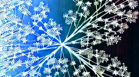 ETF Flows Expose Retail Panic: The On-Chain Truth Behind July 2's Relief Rally